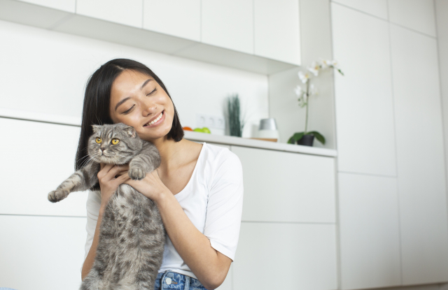 猫と遊ぶ女性